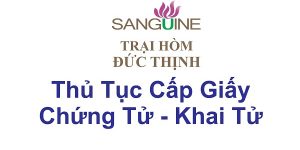 Thủ Tục Xin Cấp Giấy Chứng Tử Khai Tử