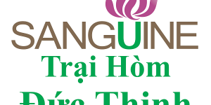 Sanguine – Cuộc Sống Đạt Quan