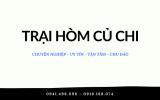 Dịch Vụ Mai Táng Củ Chi