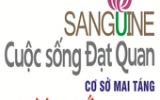 Dịch Vụ Bốc Mộ Cải Táng
