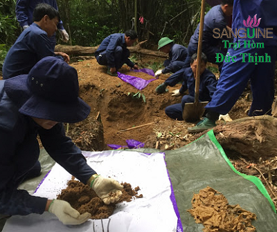 chi phí bốc mộ rõ ràng minh bạch