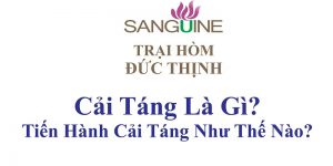 Cải Táng Là Gì?