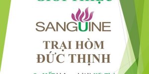 Trại Hòm Quận 12