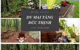 Dịch Vụ Cải Táng-2020