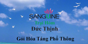 Chi Phí Mai Táng Phổ Thông Thiêu