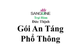 Chi Phí Mai Táng Phổ Thông Chôn Cất