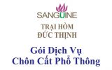 Mai Táng Phổ Thông Chôn Cất
