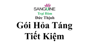 Chi Phí Mai Táng Tiết Kiệm Hỏa Táng