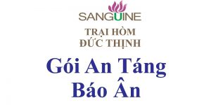Gói Chôn Cất Trọn Gói Báo Ân