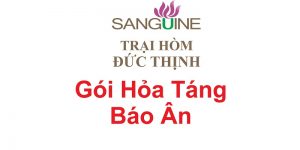 Gói Hỏa Táng Trọn Gói Báo Ân