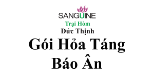 Chi Phí Gói Hỏa Táng Trọn Gói Báo Ân