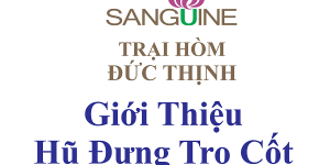 Hũ Đựng Tro Cốt