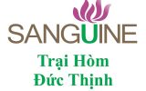 Dịch Vụ Mai Táng Quận 12