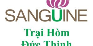 Cơ Sở Mai Táng Quận Tân Bình