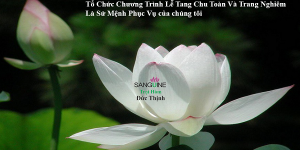 Cơ Sở Mai Táng Tốt Hàng Đầu Quận 11