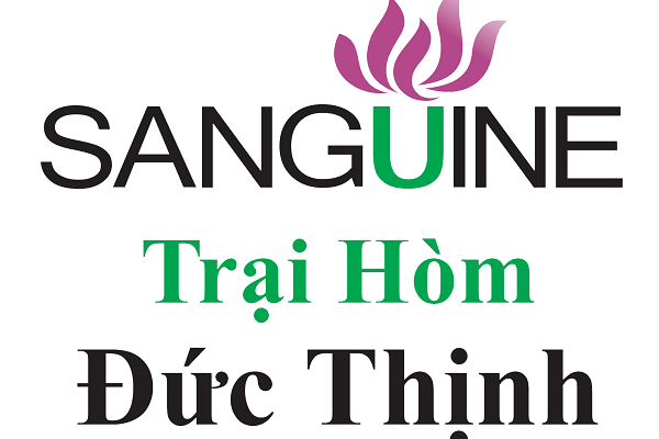 Dịch Vụ Mai Táng Trọn Gói TpHCM