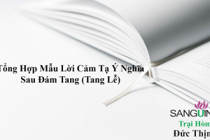 Tổng Hợp Mẫu Lời Cảm Tạ (Cảm Ơn) Ý Nghĩa Sau Tang Lễ