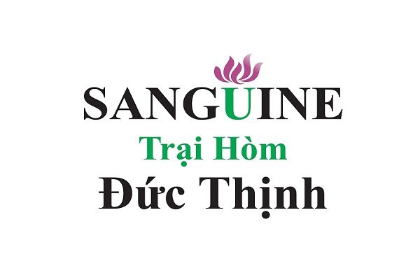 Trại Hòm Đức Thịnh Sanguine