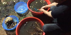 Sau bao lâu thì nên cải táng bốc mộ người đã mất?