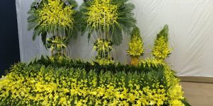 Hoa Tang Dùng Trong Tang Lễ Nên Là Màu Gì? Ý Nghĩa Màu Sắc